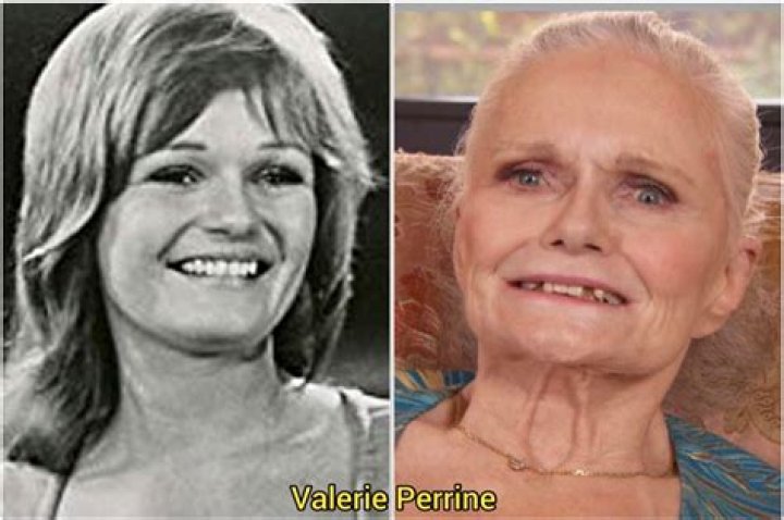An Interesting Look At Valerie Perrine’s Relationship History And Her Career Achievements 
