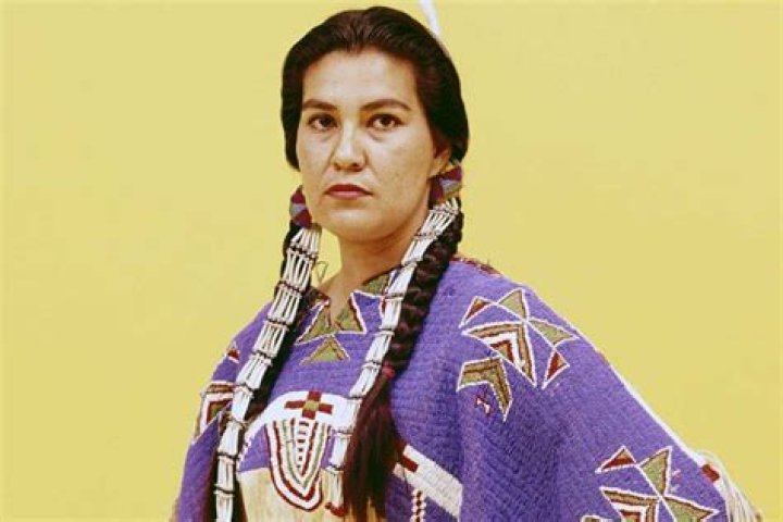 Dawn Little Sky Net Worth