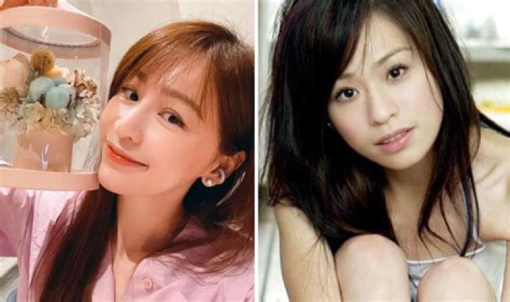 Has Cyndi Wang Done Plastic Surgery? Taiwanese Singer And Actress Transformation Photos And Married Life Explained