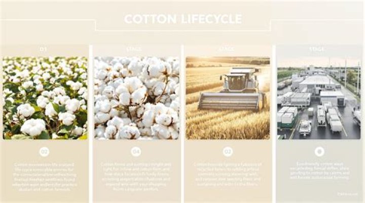 How much does cotton on pay an hour