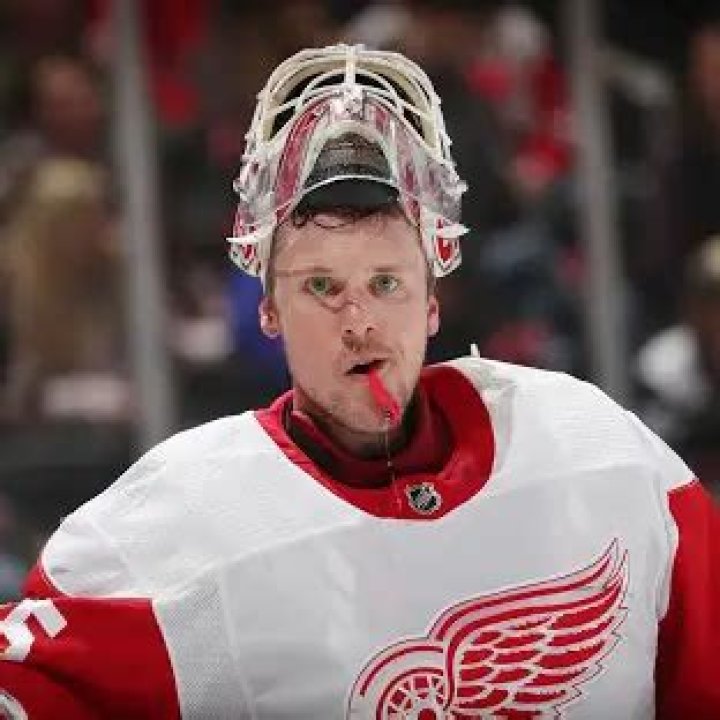 Jimmy Howard Net Worth