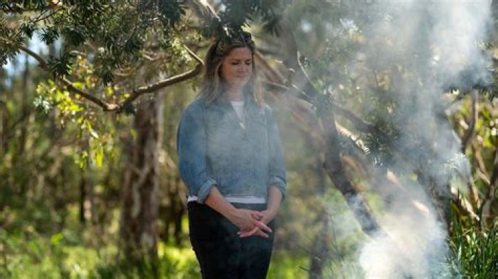 Julia Zemiro Net Worth