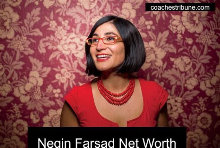 Negin Farsad Net Worth