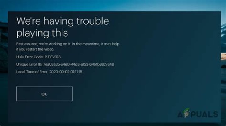 Troubleshooting Hulu Error Code P-DEV318: Easy Steps to Fix the Issue - SarkariResult