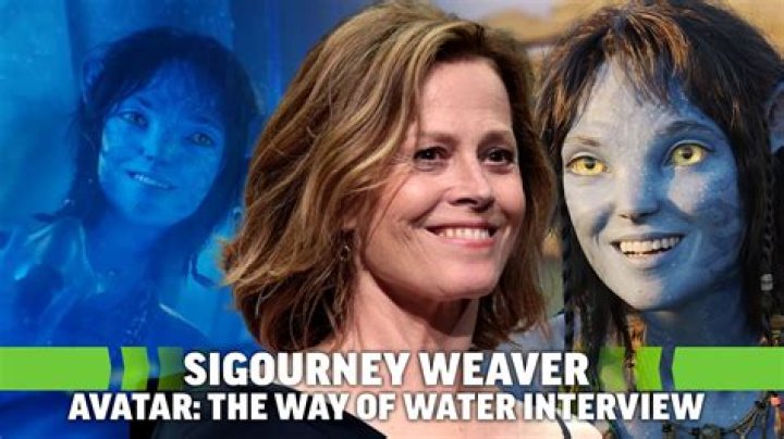 Who Is Brita Sigourney Brother? Everything To Know About Bryce Sigourney