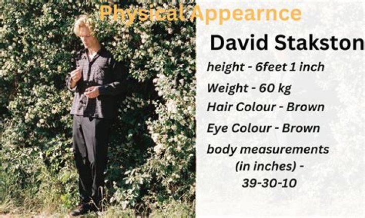 Who is David Stakston? Untold Facts About His Height, Age & More